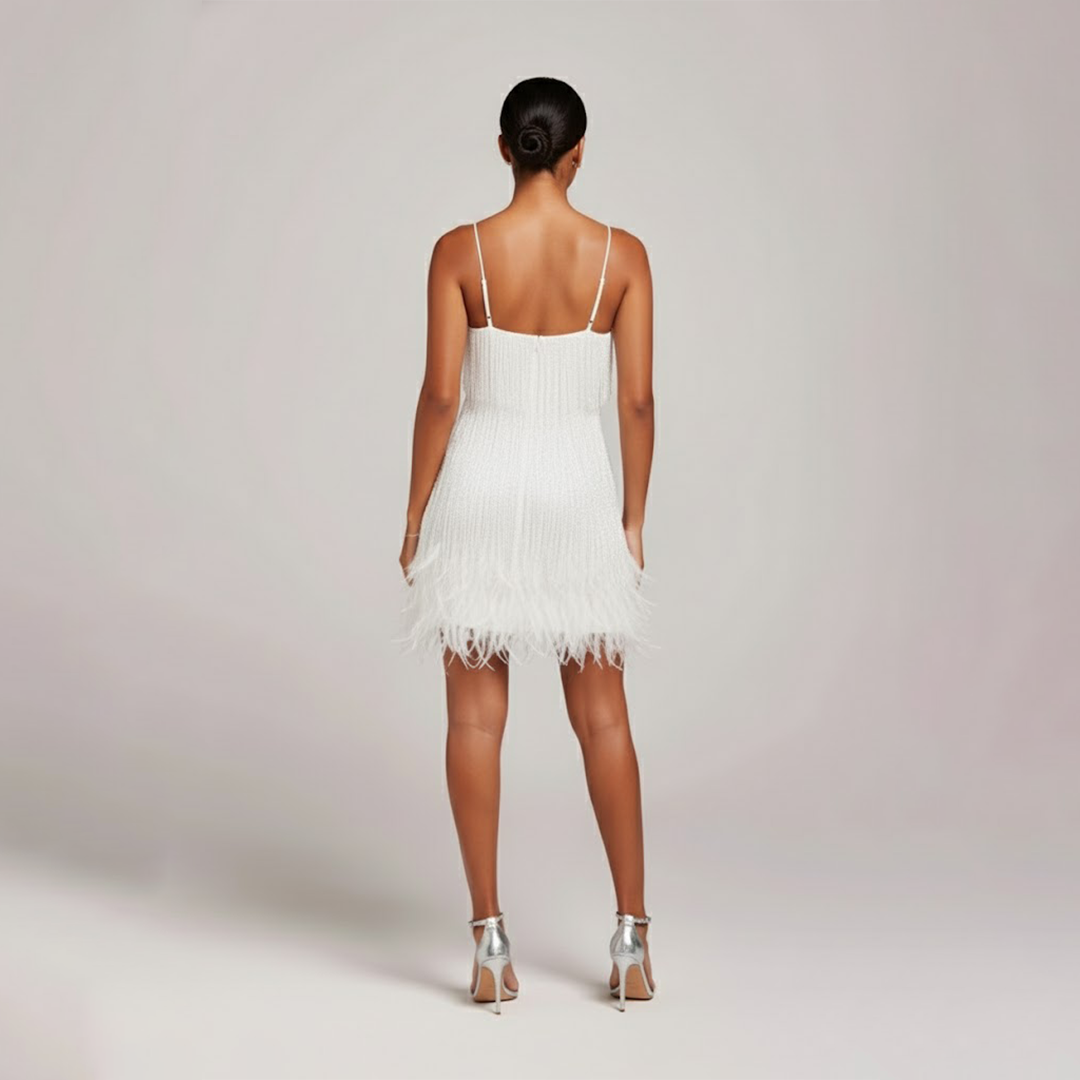 Fringe and Feather Party Dress